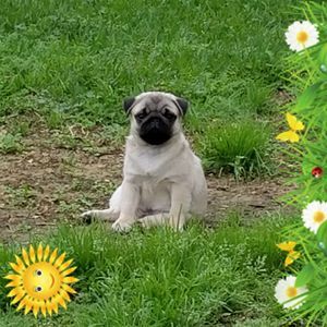 Meet your Posher, Paula